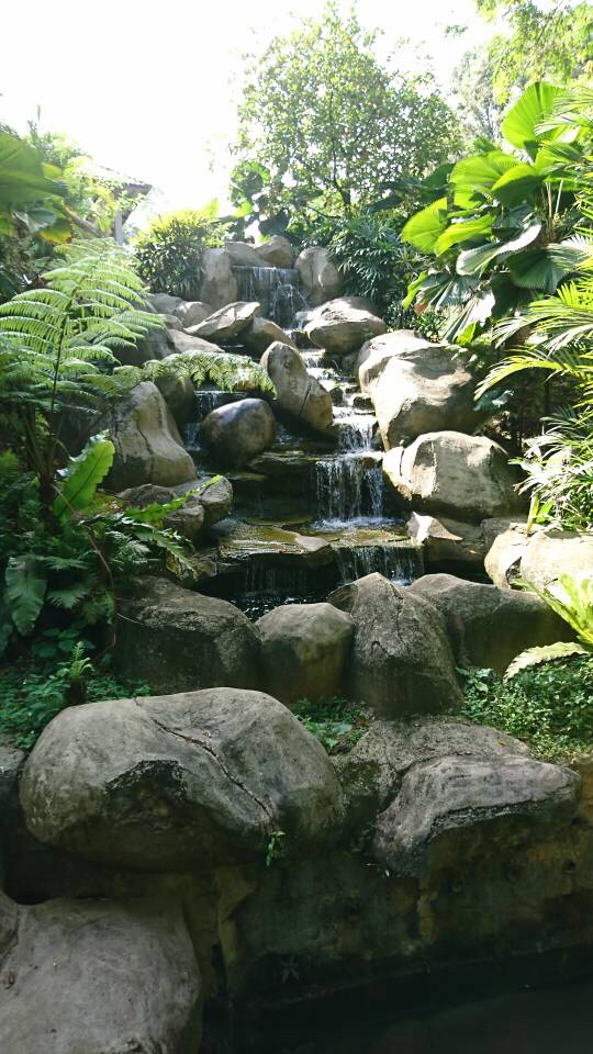 Picnic at Tasik Perdana 24th March 2018