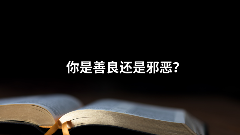 你是善良还是邪恶？